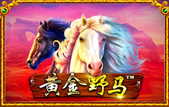 bg体育官网网页版登录